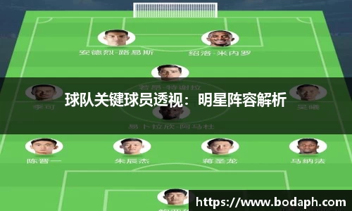 球队关键球员透视：明星阵容解析