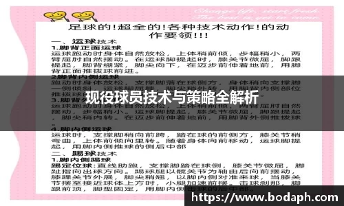 现役球员技术与策略全解析