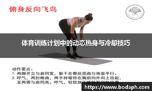 体育训练计划中的动态热身与冷却技巧